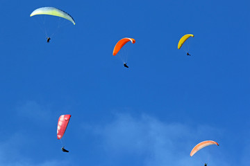 Paragliders flying wings in a blue sky	