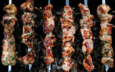 grilled shish kebab on a skewer 