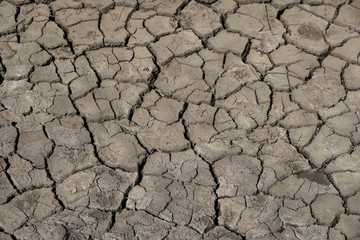 The surface of cracked soil in Ukraine. Climate change concept. Copy space.