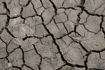 Natural soil texture. Dehydration of soil. Environmental disaster in Ukraine.