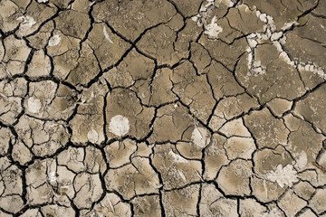 The surface of cracked soil in Ukraine. Dry leaves on soil. Climate change concept. Copy space.