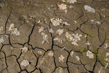Drying of the natural reservoir during the drought season. Environmental disaster in Ukraine. 