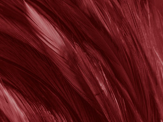 Beautiful abstract white and red feathers on white background and soft white feather texture on red pattern and red background, pink feather background , white banners