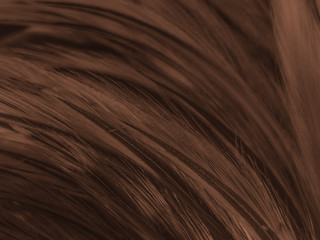 Beautiful abstract white and brown feathers on white background and soft yellow feather texture on white pattern and yellow background, feather background , gold feathers banners