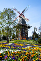 Beautiful Am Wall Windmill in a park in Bremen