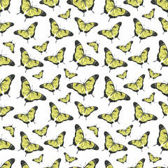 Fototapeta na wymiar Watercolor seamless pattern with hand painted watercolor butterflies in bright colors. Romantic floral background perfect for wedding invitation, paper or scrap booking. 