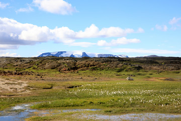 Obraz premium Hveravellir / Iceland - August 25, 2017: Landscape at Hveravellir a geothermal and sulfur area, Iceland, Europe