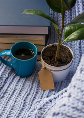 Background of blue knitted plaid and pillows in cosy house with flower in pot and books, mug of tea, a garland. Home place work.