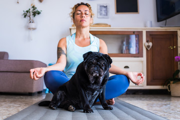 couple of woman and pug doing on the floor together - adult fermale doing exercise like yoga and the dog is looking at the camera quarantine mood bored and being healthy and fit