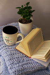 Background of blue knitted plaid and pillows in cosy house with flower in pot and books, mug of tea, a garland. Home place work.
