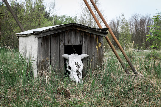 Chernobyl Area