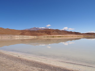 Fototapeta na wymiar Laguna, mountains and salt lake, Altiplano, Bolivia. Copy space for text