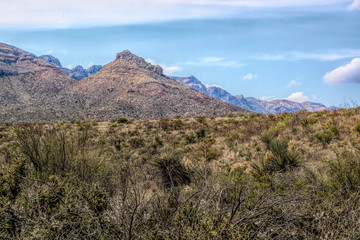 Desert Mountains in the distance