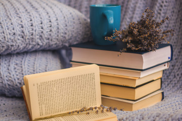 Background of blue hand-knit plaid and pillows in cosy home with dried bouquet of lavender flowers, books, mug of coffee, garland.