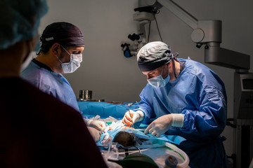 Veterinarian surgeons and nurses in uniform concentrating and operating dog using special equipment in operating room of contemporary hospital