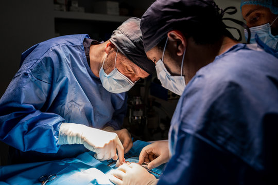 Surgeons and nurses in uniform concentrating and operating patient using special equipment in operating room of contemporary hospital