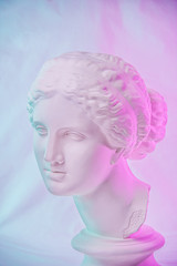 Statue of Venus de Milo. Creative concept colorful neon image with ancient greek sculpture Venus or Aphrodite head. Webpunk, vaporwave and surreal art style. Pink and blue duotone effects.