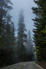 A Lonely Long Road with a Stunning Scenic Landscape View