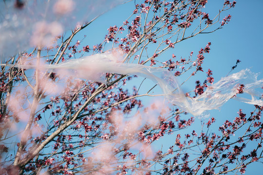 From below transparent plastic material waving on wind while hanging on branches against cloudless blue sky polluting the environment