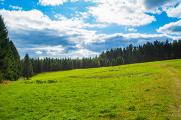 Lichtung im Thüringer Wald mit blauem Himmel und weißen Wolken