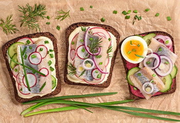 Smorrebrod traditional Danish sandwiches fish, radish, mayonnaise. Open sandwich with rye bread, herring closeup, top view. Various fish smorrebrod. Flat lay