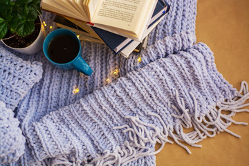 Background of blue knitted plaid and pillows in cosy house with flower in pot and books, mug of tea, a garland. Home place work.