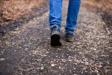 walk in the woods, steps of a man, way forward, place for text