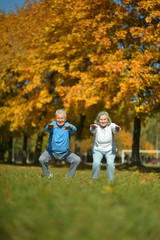 Fototapeta premium Portrait of fit senior couple exercising in park