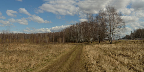 Obraz premium Walking through the forest, beautiful panorama.