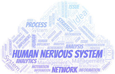 Human Nervous System typography vector word cloud.