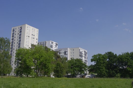 La nature dans la Zup sud de Rennes
