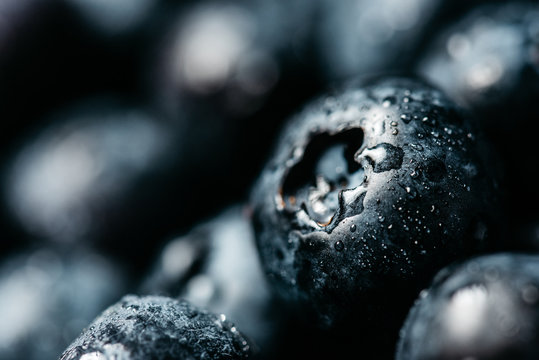 Closeup natural background with appetizing fresh ripe and juicy blueberries with water drops