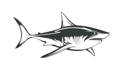 White shark. Saltwater fish. Eater Shark. Carcharodon. Big aggressive shark. Fish a shark a side view sketch. The emblem with shark for a sport team. Angry black shark vector illustration.