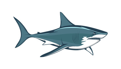 Obraz premium White shark. Saltwater fish. Eater Shark. Carcharodon. Big aggressive shark. Fish a shark a side view sketch. The emblem with shark for a sport team. Angry color shark vector illustration.