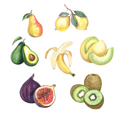 Watercolor illustration set of tropical fruits on a white background