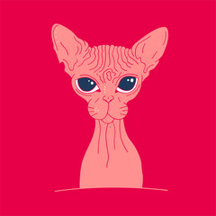 Pink sphinx cat. Portrait. Layout for t-shirts and prints. Doodle style. Freehand drawing in the modern style. Vector illustration.