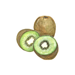 Watercolor illustration of a kiwi on a white background
