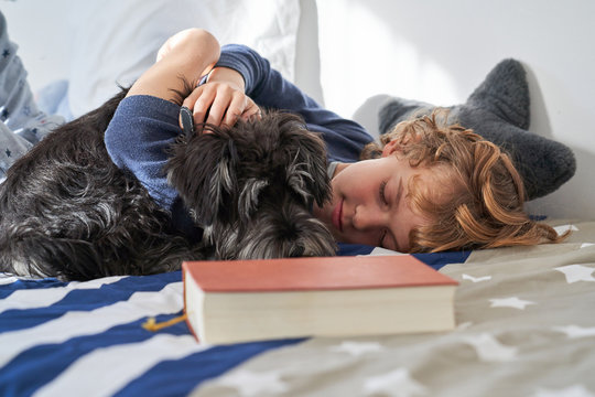 blond boy lying on the bed with his dog