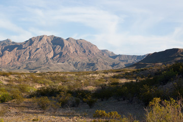 Desert Mountains in the distance