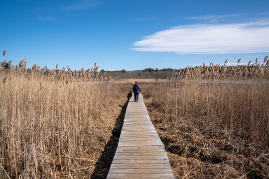 Woman walking on long wooden board walk trail in marsh