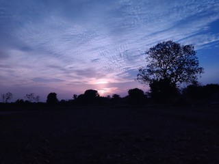 sunset in the forest
