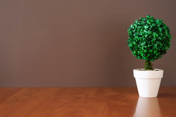Work space - empty wooden table with green plant in pot. Copy space on brown wall.