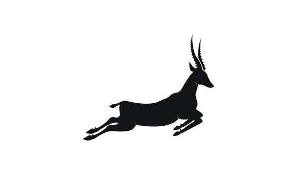 Gazelle silhouette jump black antelope. Ghazal run vector stand side view illustration isolated on white background
