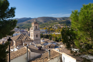 Fototapeta na wymiar Panorama of the city of Caravaca de la Cruz and conifers in the foreground, a place of pilgrimage near Murcia in Spain