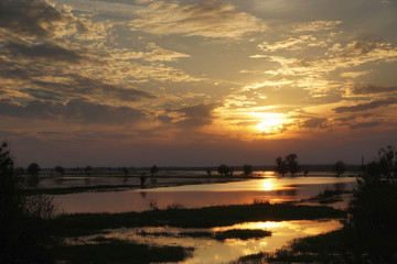 Golden sunset over flooded meadow
