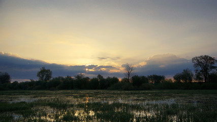 Sunrise over the wetland