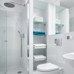 Fototapeta na wymiar Simple white bathroom with shower
