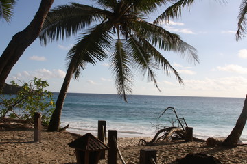 
Seychelles beach