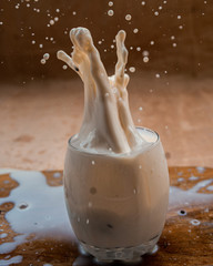 milk crazy splash