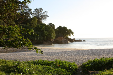 Backwater